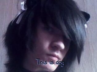 This_is_dog