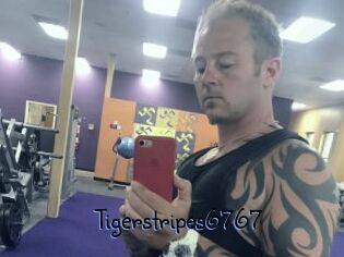 Tigerstripes6767