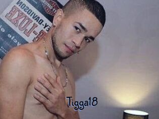 Tigga18