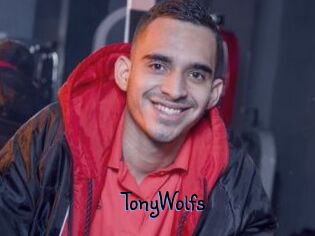 TonyWolfs