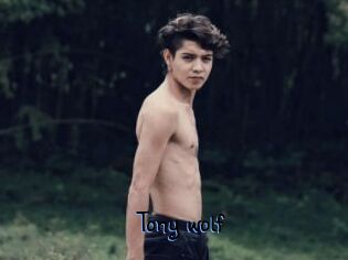 Tony_wolf