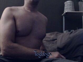 Toyboyx