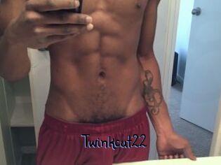 Twinkcut22