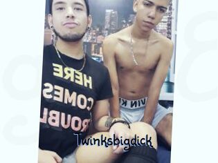 Twinksbigdick