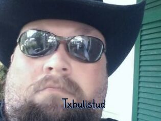 Txbullstud