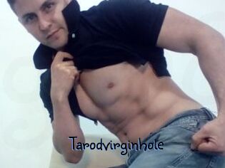 Tarodvirginhole