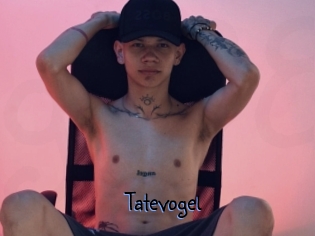 Tatevogel