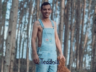 Teddhill