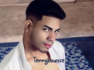 Terrybounce