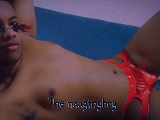 The_naugthyboy