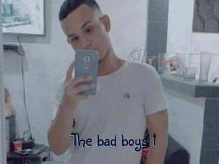 The_bad_boys_1
