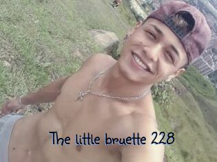 The_little_bruette_228