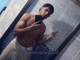 Thebarackrabbit