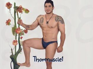 Thormuscle1