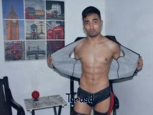 Torusd