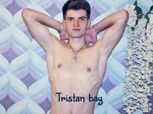 Tristan_bay