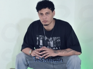 Tristenswan
