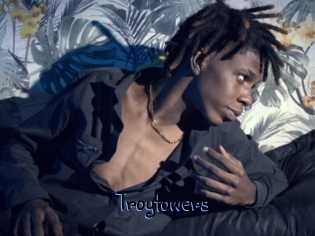 Troytowers
