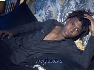 Troytowers