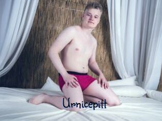 Urnicepitt