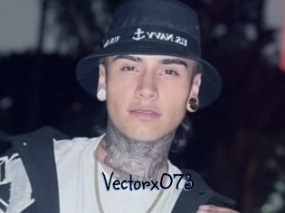 Vectorx073