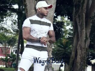 WayneBlack
