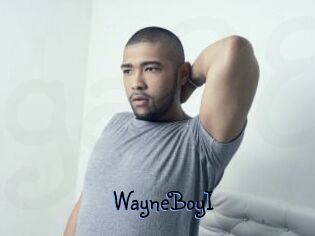 WayneBoyI