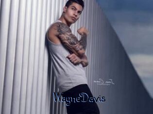 WayneDavis