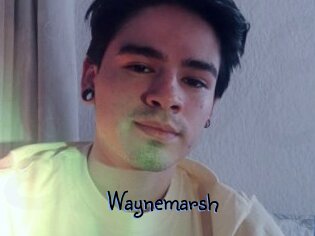 Waynemarsh