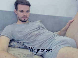 Waynenort