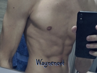 Waynenort
