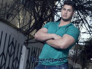Waynneprice
