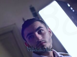Wildwildstud