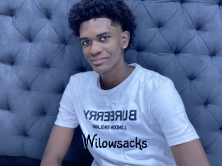 Wilowsacks