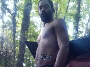 Wolf