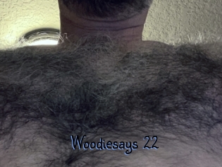 Woodiesays_22