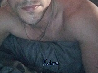 Xebra