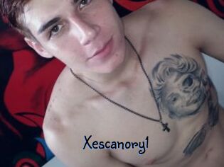 Xescanory1