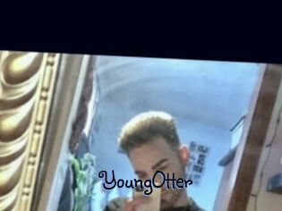 YoungOtter