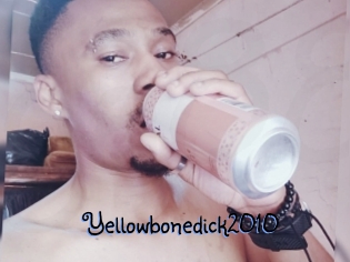 Yellowbonedick2010